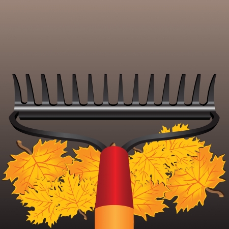 Rake and autumn maple leaves illustration.のイラスト素材