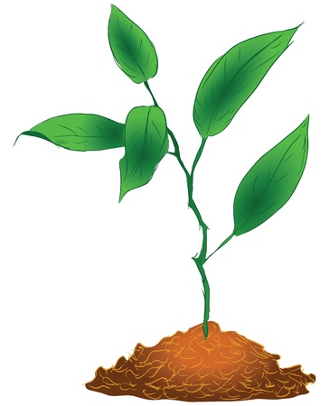 Sprout sprig in the ground. Vector illustration.のイラスト素材