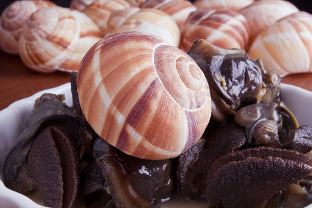Marinated escargot cooked separately from snail shells.の写真素材