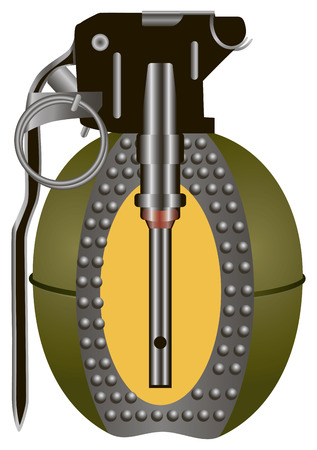 Internal structure of antipersonnel hand grenade. Vector illustration.のイラスト素材