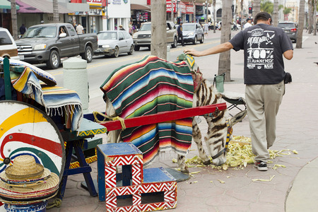 Tijuana, Mexico - 15 March 2015. The tourist business on the streets of Tijuana, photographing tourists using donkeys painted in zebra. The owner of the animal feeds ass corn leaves.のeditorial素材