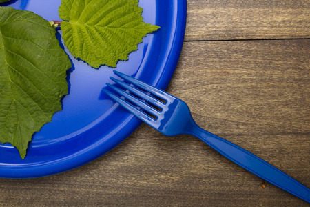 Plastic disposable fork and plates for going on a picnic.の写真素材