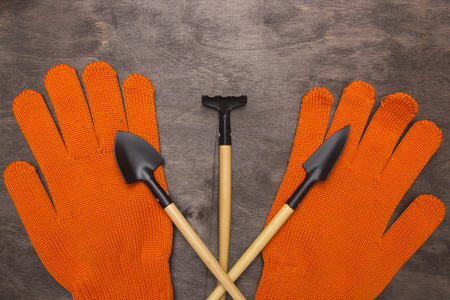 Crossed characters gardeners - a rake with a shovel and gloves orange farmer.の写真素材