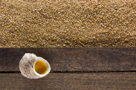 Background with beach sand and sea shells, the tourist season.