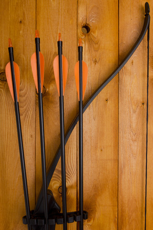 A professional bow with a set of arrows for hunting and sports.の写真素材