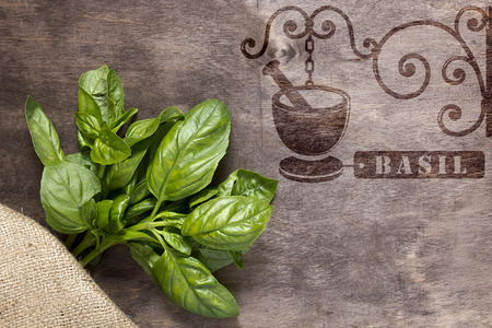 Vintage hot stamp imprint for spices - basilの写真素材