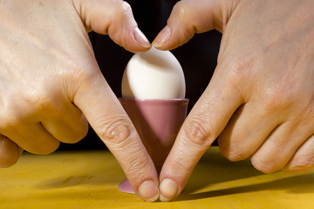 Boiled egg in the holder and the hands of the cookの写真素材