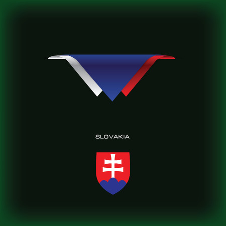 The combination of colors of the national flag Slovakia.のイラスト素材