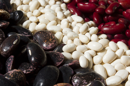 Mix of different in size and color of beansの写真素材