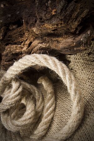 Snag on burlap at night in natureの写真素材