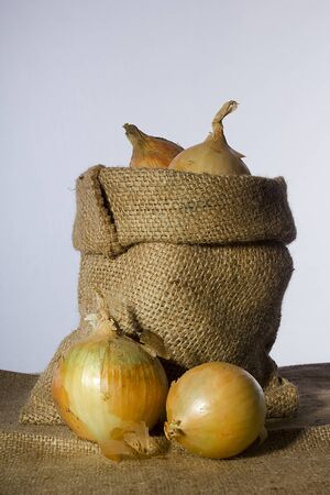 Onions in a bag on a gray backgroundの写真素材