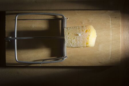 A piece of cheese in a mousetrap on a black background