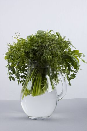 Set of green fresh herbs in a glass jugの写真素材