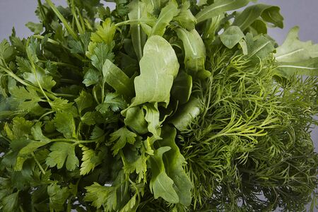 Set of fresh green herbs on a gray background