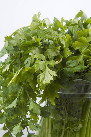 Set of green fresh herbs in a glass jugの写真素材