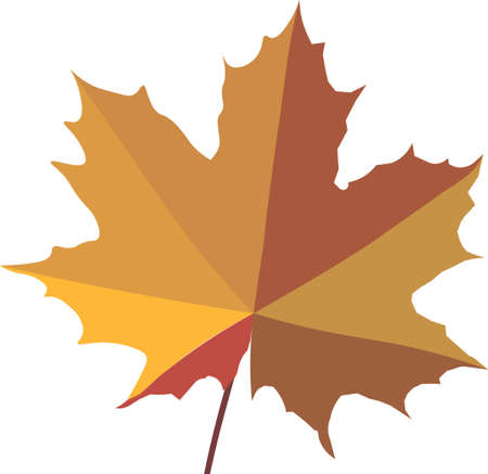 Autumn maple leaf on a white background. Vector imageのイラスト素材