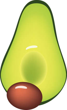 The avocado is cut in half and pitted. Vector illustration.のイラスト素材