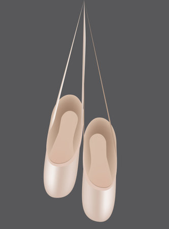 Professional shoes for ballet - ballet slippers - pointe shoesのイラスト素材