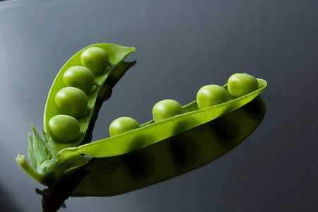 Fresh raw green peas in a pod on a black backgroundの写真素材