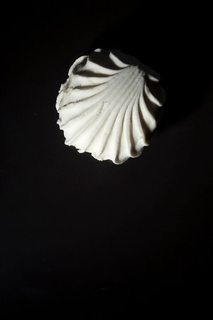 Sweet marshmallow on black reflective background close upの写真素材