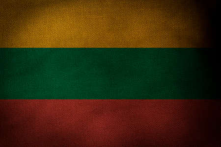 The central part of the flag of the state of Lithuaniaの写真素材