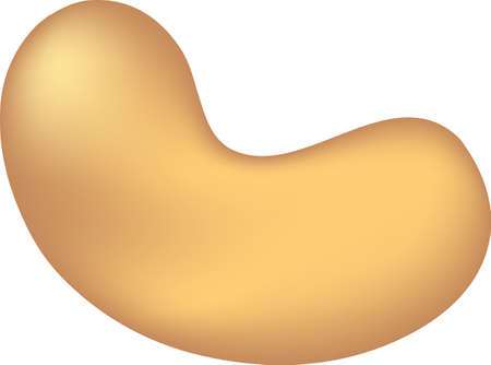 Peeled cashew nut on a white background.