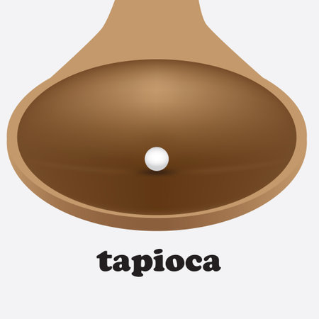 Poster for tapioca with one granule in a wooden spoon.のイラスト素材