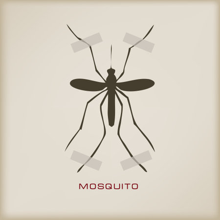 The mosquito in the collection is attached with sticky tapeのイラスト素材