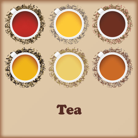 Poster with various options for tea brewed and poured into cups. Vector illustration.のイラスト素材