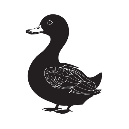 Vector illustration of an adult common duck. Vector without AIのイラスト素材