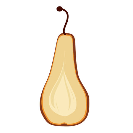 Pear-shaped fruit cut in half. Vector illustrationのイラスト素材