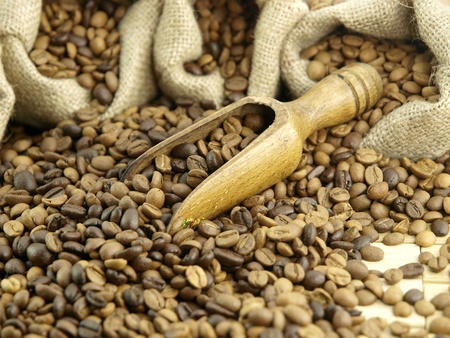 Coffee beansの写真素材