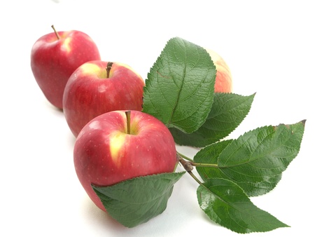 Applesの写真素材