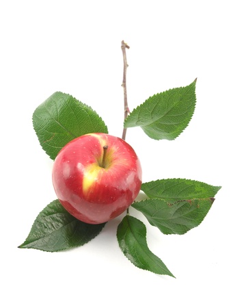 Applesの写真素材