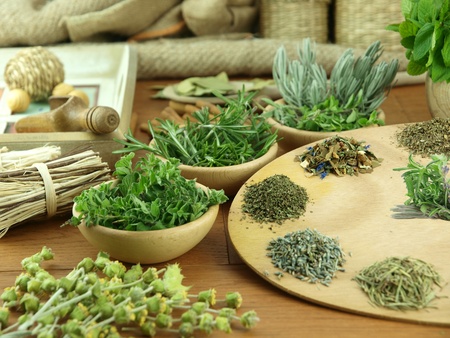 Herbs and spices on a wooden backgroundの写真素材
