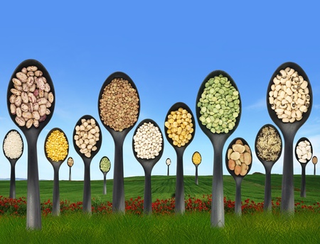Legumes over spoons like trees on a grass fieldの写真素材