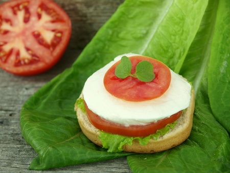 Mozzarella cheese and tomato on breadの写真素材
