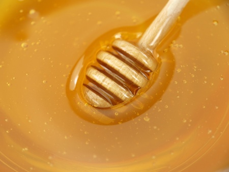 Dipper in Fresh Honey background の写真素材