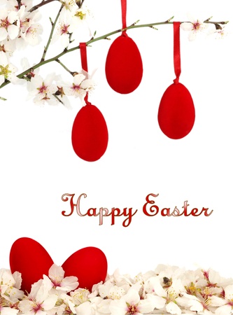 Happy Easter card with eggs and white spring flowersの写真素材
