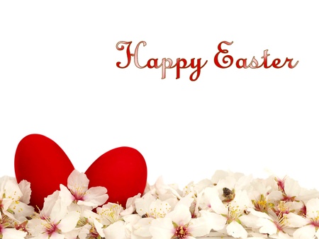  Two red Easter eggs and white spring flowersの写真素材