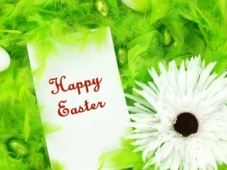 Easter greeting card on green feathers