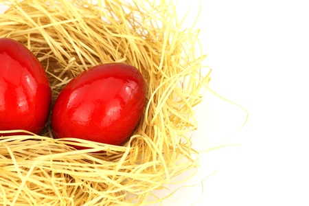 Red eastern eggs in the nest over white background の写真素材