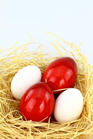 Red eastern eggs in the nest over white background の写真素材