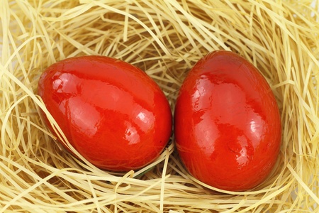 Red eastern eggs in the nest の写真素材