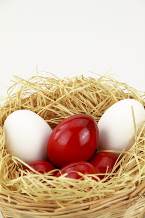 Easter eggs in the nest over white backgroundの写真素材