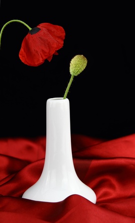  White vase with bud poppy flower の写真素材