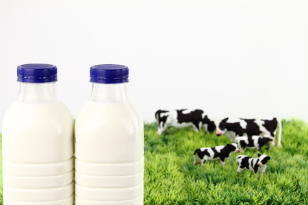 Bottles of milk with a farm on backgroundの写真素材