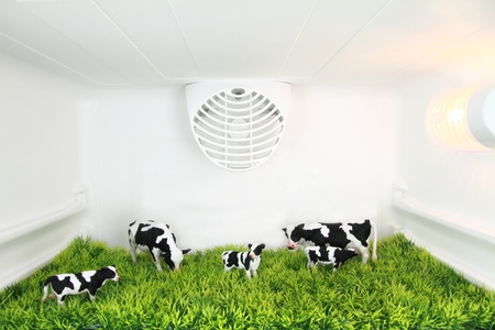 Freshness concept. A field with cows inside the fridgeの写真素材