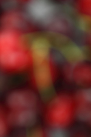 Abstract blurred red cherry backgroundの写真素材