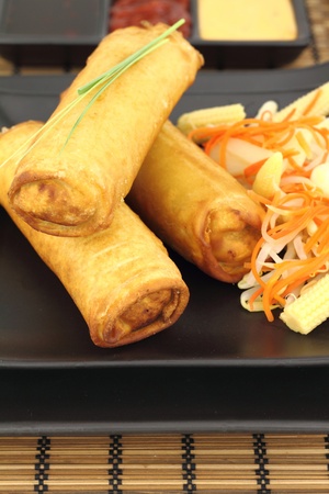 Spring rolls on a plate の写真素材